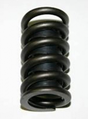 SBI 160-1206 Valve Springs