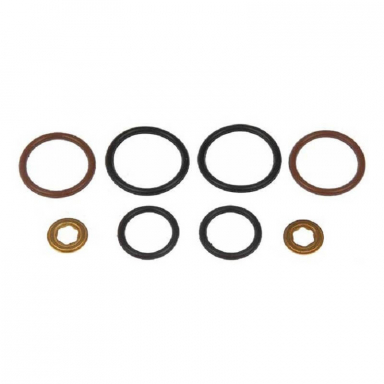 6.0 Powerstroke Fuel Injector O-Ring Kit Dorman 904-207