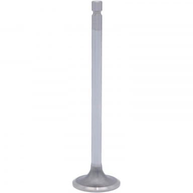 5.9|6.7 Cummins Intake Valve SBI 02014