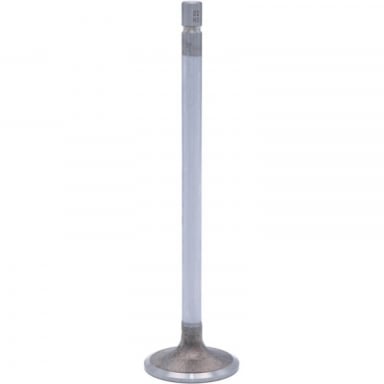 6.0 Powerstroke Intake Valve SBI 02179