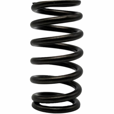 5.9 Cummins Exhaust Valve Spring SBI 160-1650