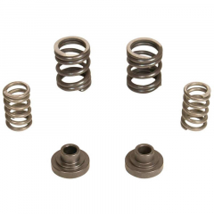5.9 12v Cummins 3000 RPM Governor Spring Kit | BD 1040187