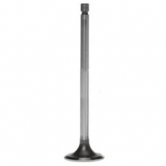 5.9|6.7 Cummins Intake Valve Mahle 211-4182