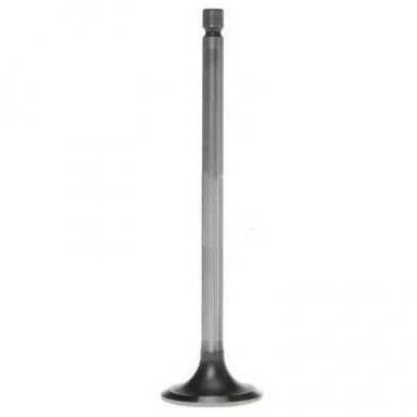 5.9|6.7 Cummins Intake Valve Mahle 211-4182