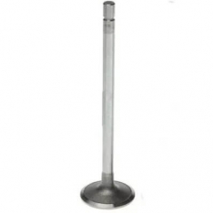 6.0 Powerstroke Intake Valve Mahle 211-4276