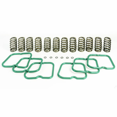 5.9 12v Cummins Basic Valve Spring Kit (12 Springs) Pacbrake HP10240