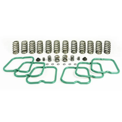 5.9 12v Cummins Premium Valve & Governor Spring Kit (12 Springs) Pacbrake HP10243