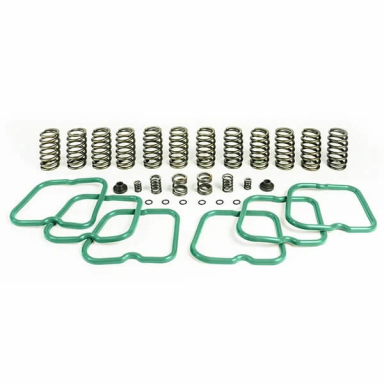 5.9 12v Cummins Premium Valve & Governor Spring Kit (12 Springs) Pacbrake HP10243