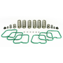 5.9 12v Cummins Premium Valve & Governor Spring Kit (6 Springs) Pacbrake HP10244