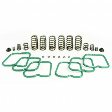 5.9 12v Cummins Premium Valve & Governor Spring Kit (6 Springs) Pacbrake HP10244