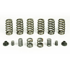 5.9 12v Cummins Valve & Governor Spring Kit (6 Springs) Pacbrake HP10246