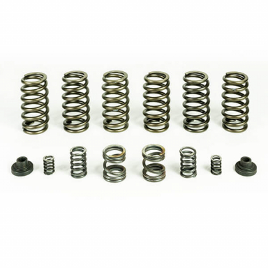 5.9 12v Cummins Valve & Governor Spring Kit (6 Springs) Pacbrake HP10246
