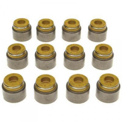 5.9 24V Cummins Intake Valve Stem Seal Kit Mahle SS45903