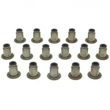 6.0 Powerstroke Valve Stem Seal Kit Mahle SS45952