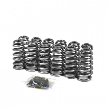 5.9 12v Cummins XDP XD389 Performance Valve Springs & Retainer Kit