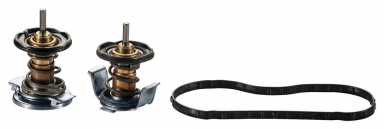 6.4 Powerstroke Thermostat Set | Alliant AP63498