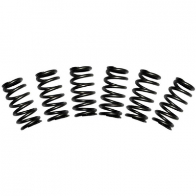 5.9 12V Cummins 60# Valve Springs | BD 1030060