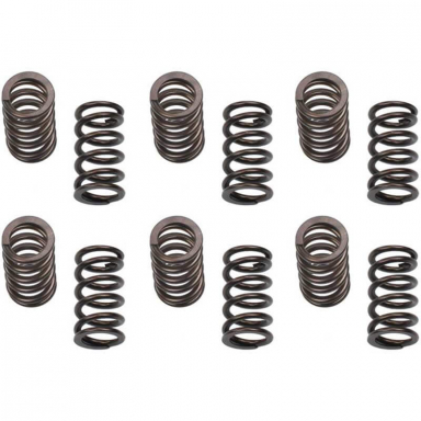5.9 12v Cummins 150LB Valve Springs Industrial Injection 24G801