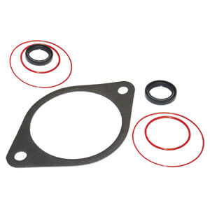 5.9 Cummins Vacuum Pump Seal Kit | 4089742