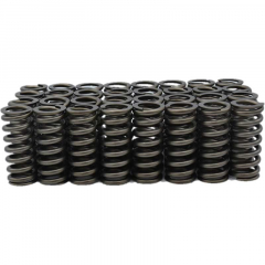 6.0|6.4 Powerstroke Heavy Duty Valve Springs Powerstroke Products PP-HDVS
