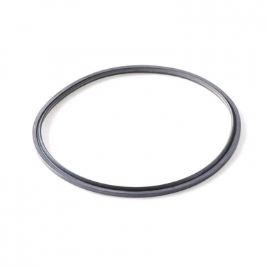 Duramax 06-19 Allison 1000 Transmission C2 Clutch Piston Inner Seal | Allison 29542808