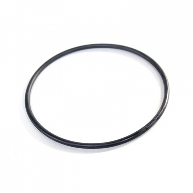 Duramax 01-19 1000 Transmission C1 Clutch Housing Seal | Allison 29545377