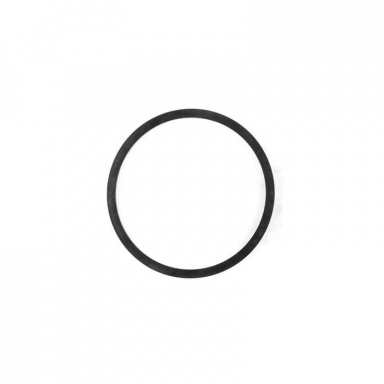 5.9 12v | 3.9 Cummins Water Pump Mounting O-Ring Cometic C15065