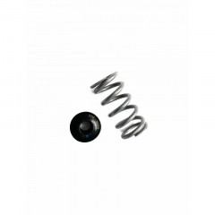 5.9/6.7 Cummins Valve Spring & Retainer Set Fleece FPE-34797