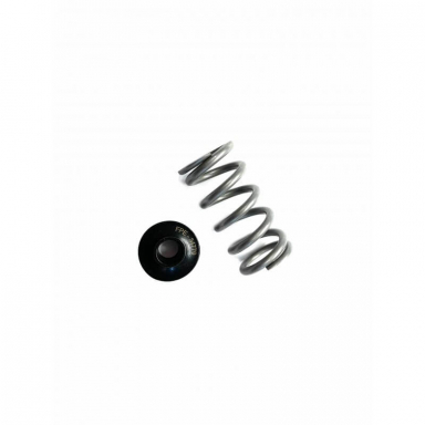 5.9/6.7 Cummins Valve Spring & Retainer Set Fleece FPE-34797