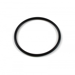 6.7 Powerstroke XDP XD459 Intercooler Adapter O-Ring Seal