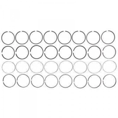 6.0 Powerstroke Complete Piston Ring Set .030 Mahle 41940-030