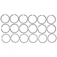 6.7 Cummins Complete Piston Ring Set .020 Mahle 42140.02