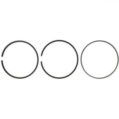 6.7 Powerstroke Piston Ring Set .020 Mahle S42168-020