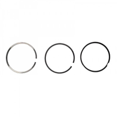 6.7 Cummins Piston Ring Set (.020) | Clevite S42409.020