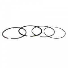 6.7 Powerstroke OE Standard Piston Ring Set Ford HC3Z-6148-A