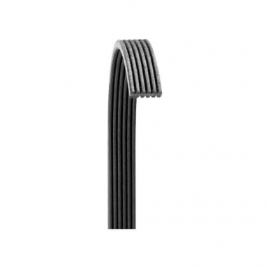6.7 Powerstroke HD Poly Rib Serpentine Belt - Double Sided Main Drive | Dayco 6081255